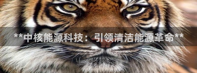 sunbet苹果app