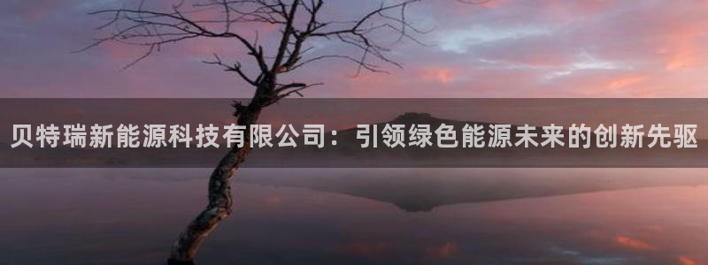 申博手机版官网