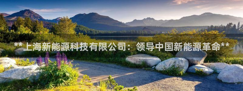 申博官网电脑版下载