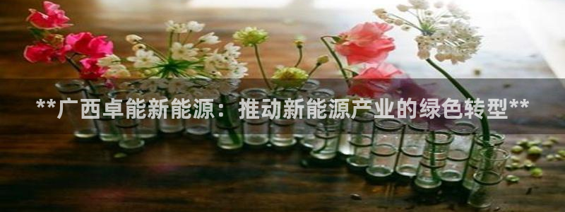 申博视讯