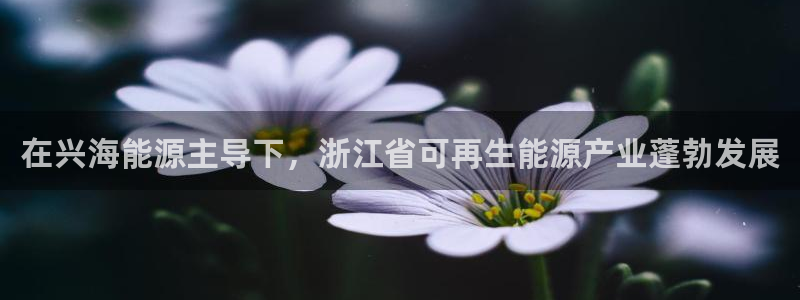 sunbet苹果app