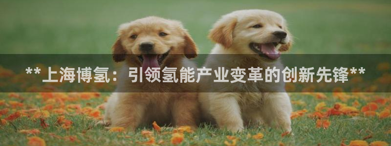 申博官方网站