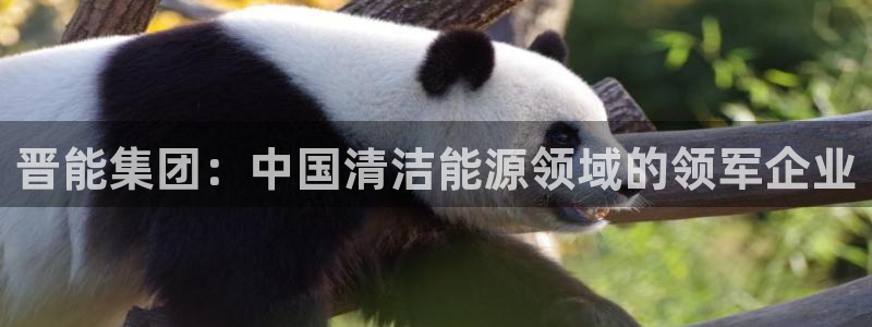 sunbet官网手机版登录