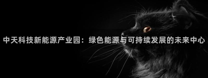 申博手机版app下载