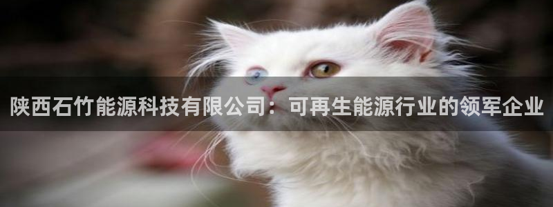 sunbet游戏网