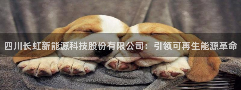 sunbet手机网页版