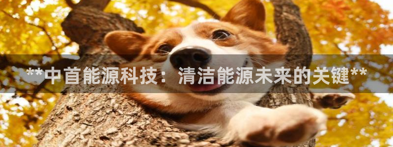 sunbet申搏官方网站