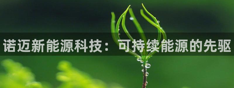 sunbet官网手机版