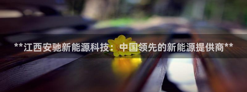 sunbet英语翻译