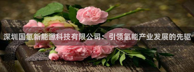 sunbet手机网页版