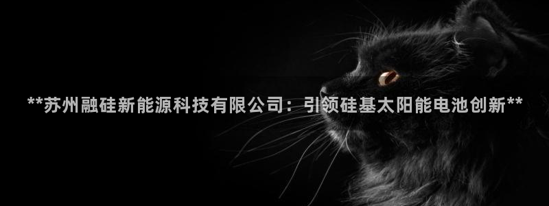 sunbet苹果app