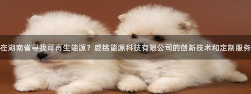 sunbet官网手机版登录