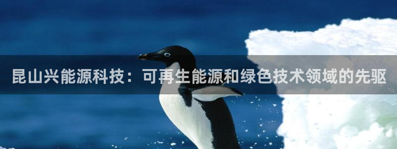 sunbet最新消息