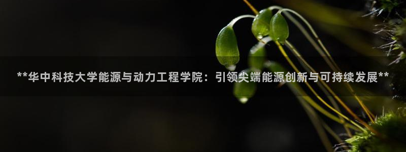 sunbet线上真人手机版