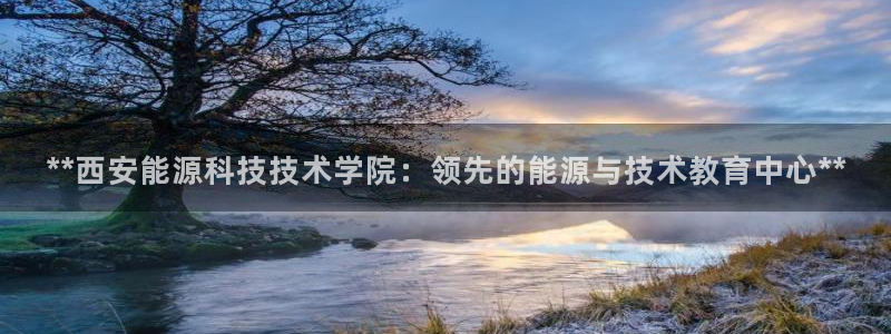 sunbet燃气灶