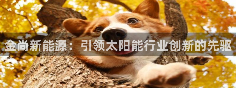 申慱sunbet手机版登