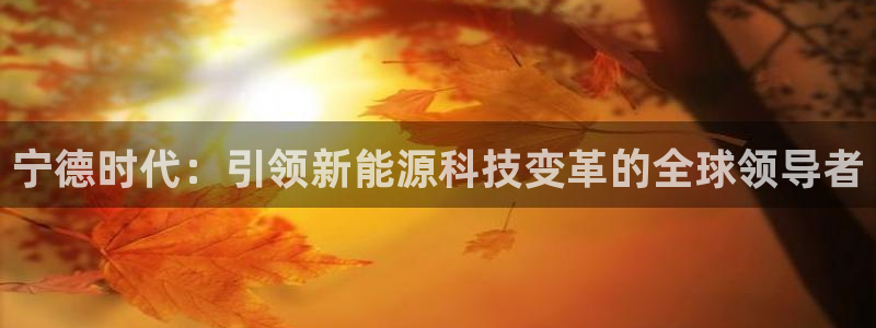 sunbet申搏官网