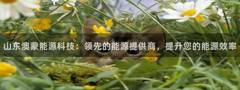 sunbet苹果官网下载