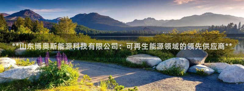 申博官网手机客户端