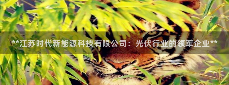 sunbet游戏网