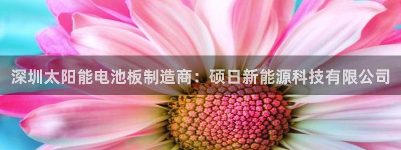 申博手机版官网