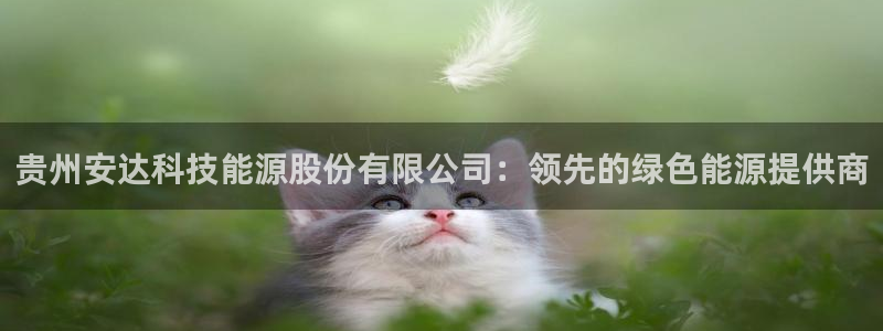 sunbet游戏网