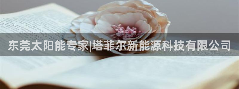 sunbet燃气灶