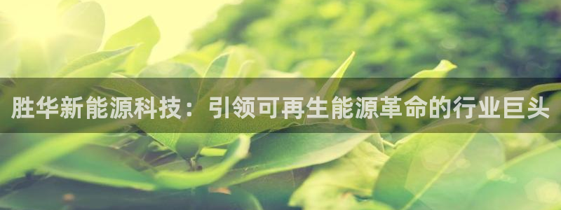 sunbet手机版官网下载