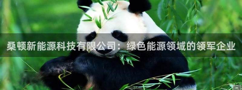 申博app下载