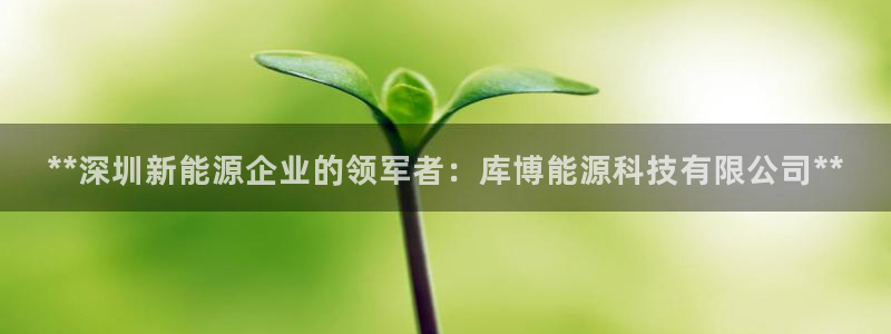 sunbet申搏app下载