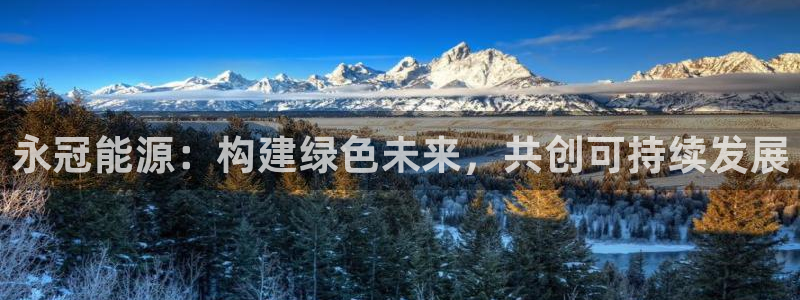 申博官网电脑版下载
