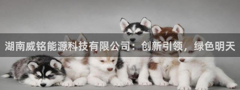 sunbet手机端