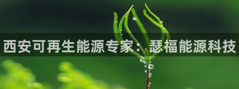 申博手机网站