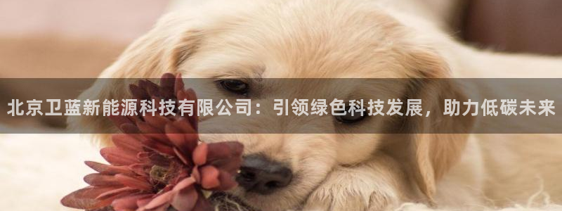 sunbet手机网页版下载