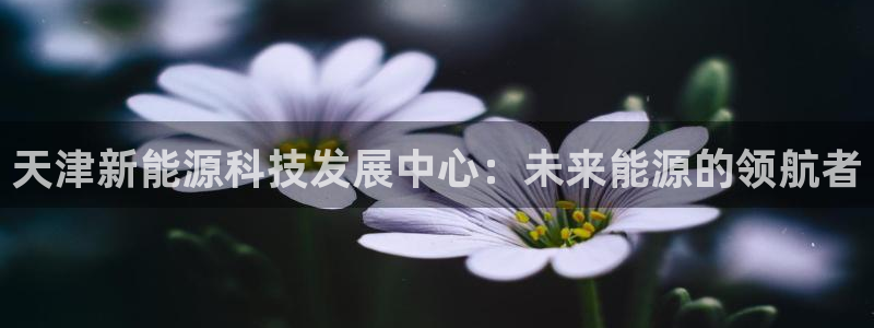 sunbet手机版官网下载