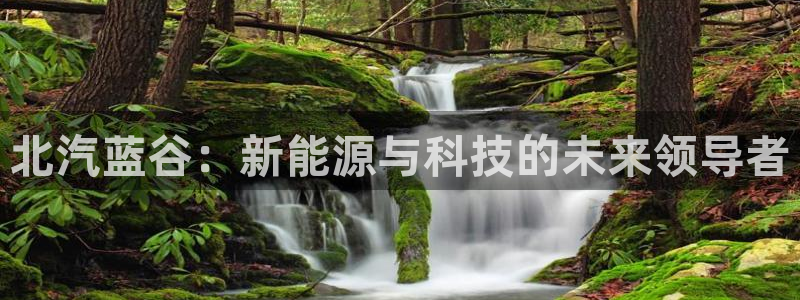 申慱sunbet手机版登