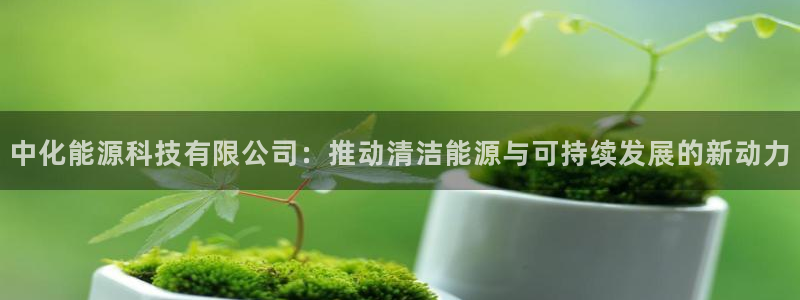 sunbet手机网页版下载