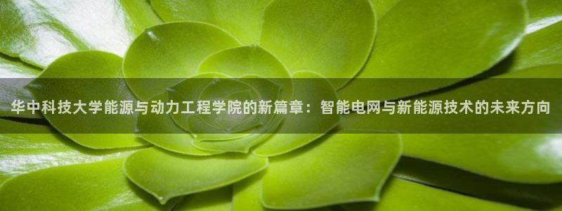 sunbet游戏网