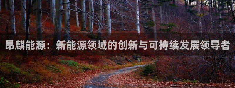 sunbet中国官网
