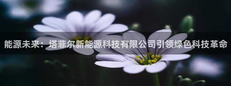 sunbet线上真人手机版