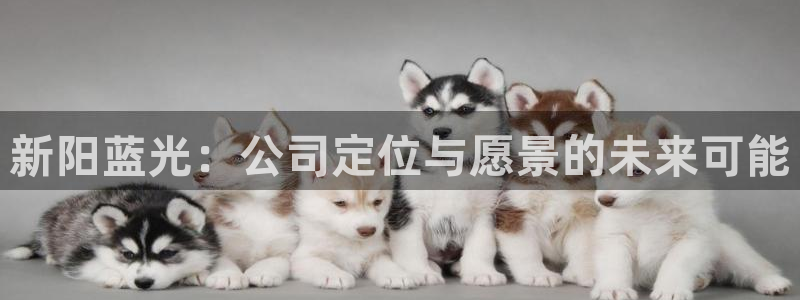 申博视讯