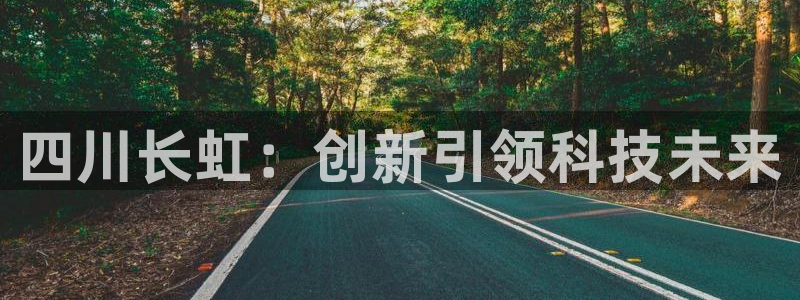 sunbet手机版官网下载