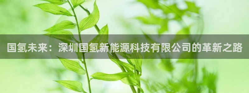 sunbet手机网页版本