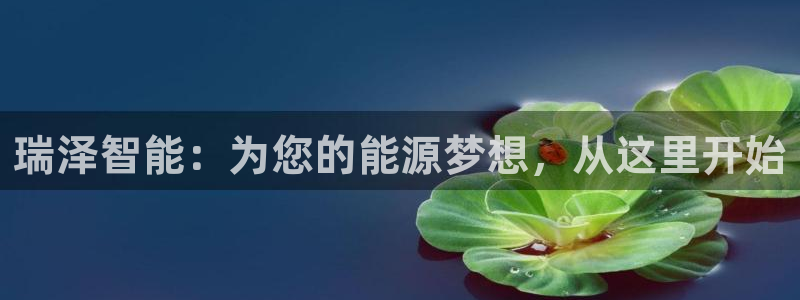 sunbet官网手机版