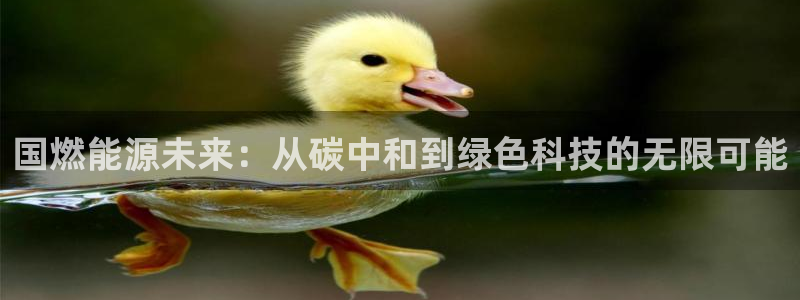 下载申搏sunbet并安装app