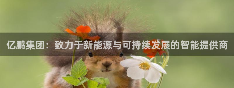 进入sunbet官网手机版登陆