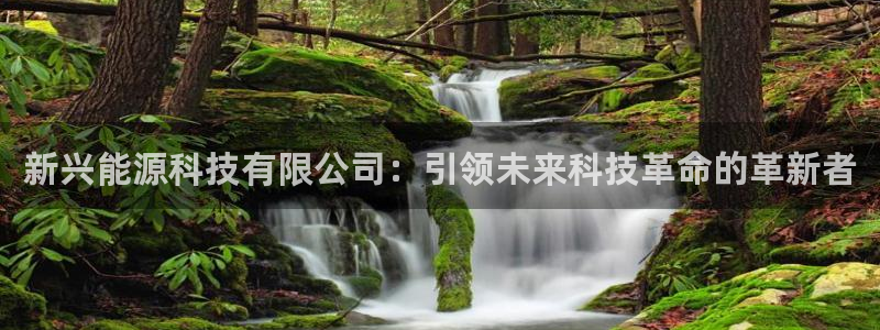 申慱sunbet网站