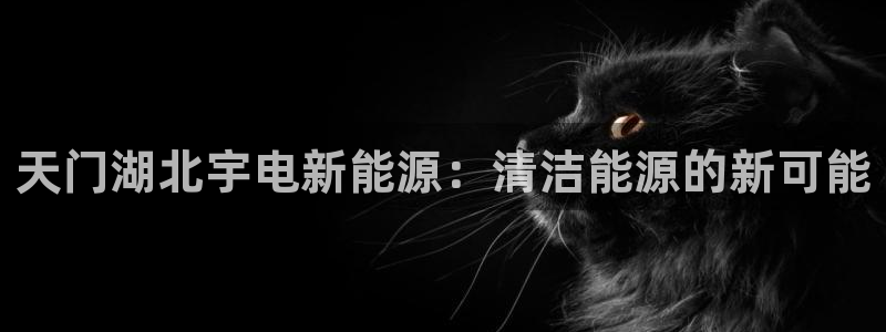 sunbet申搏官方网站