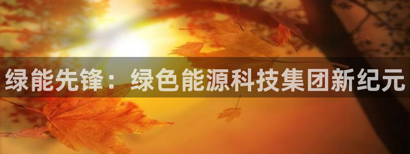 sunbet英语翻译