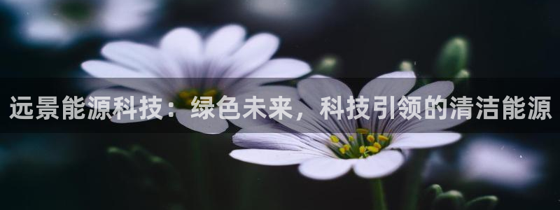 申博官方网站手机版下载